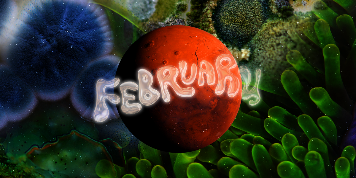 the word february written over an undersea scape