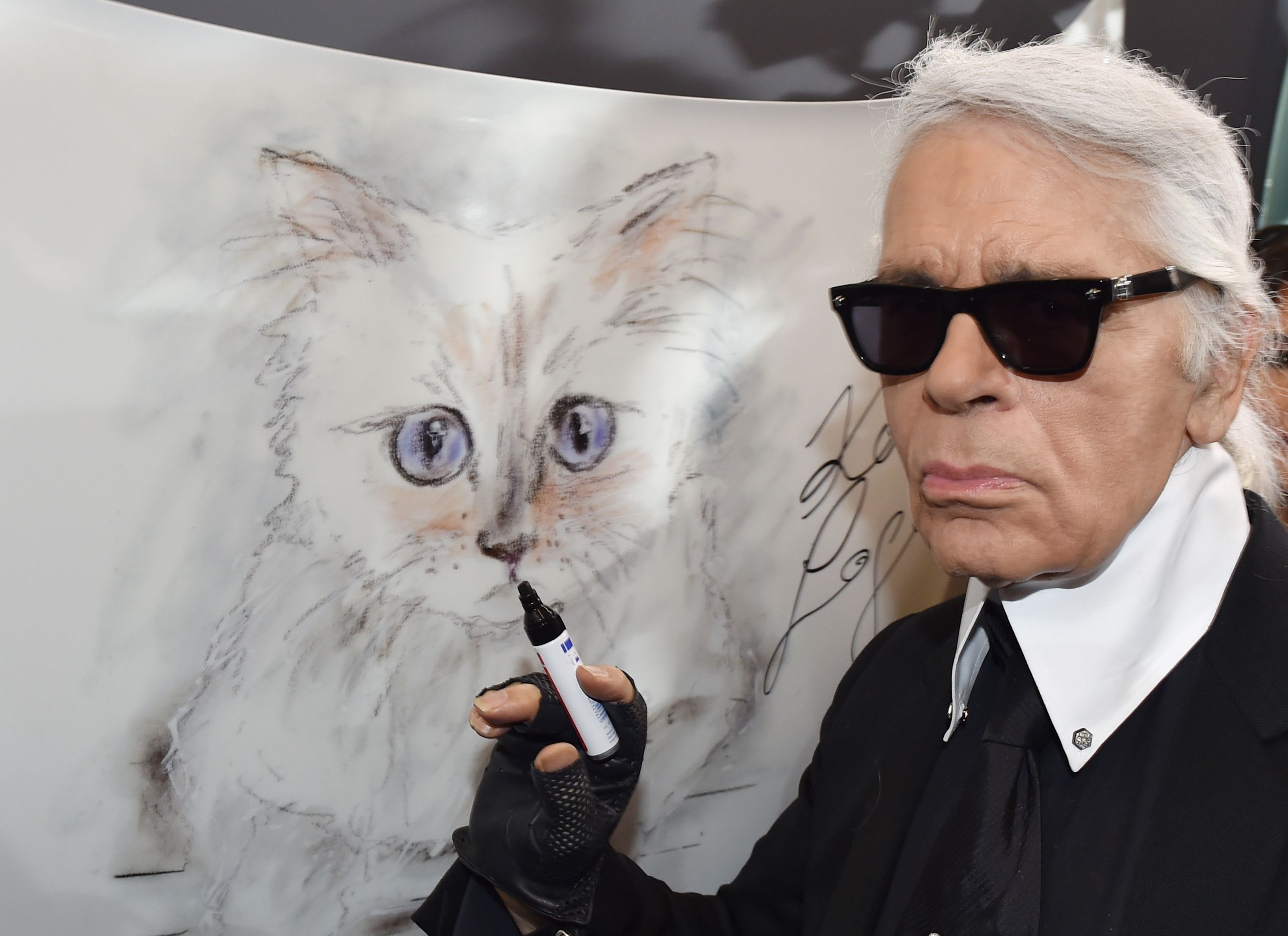 Karl lagerfeld deals senza occhiali