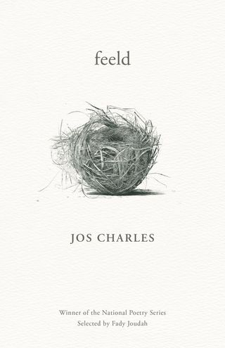 Bird nest, Text, Illustration, Font, Drawing, Plant, 