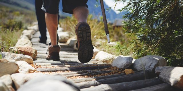 Feet of male hiker hiking along log footpath