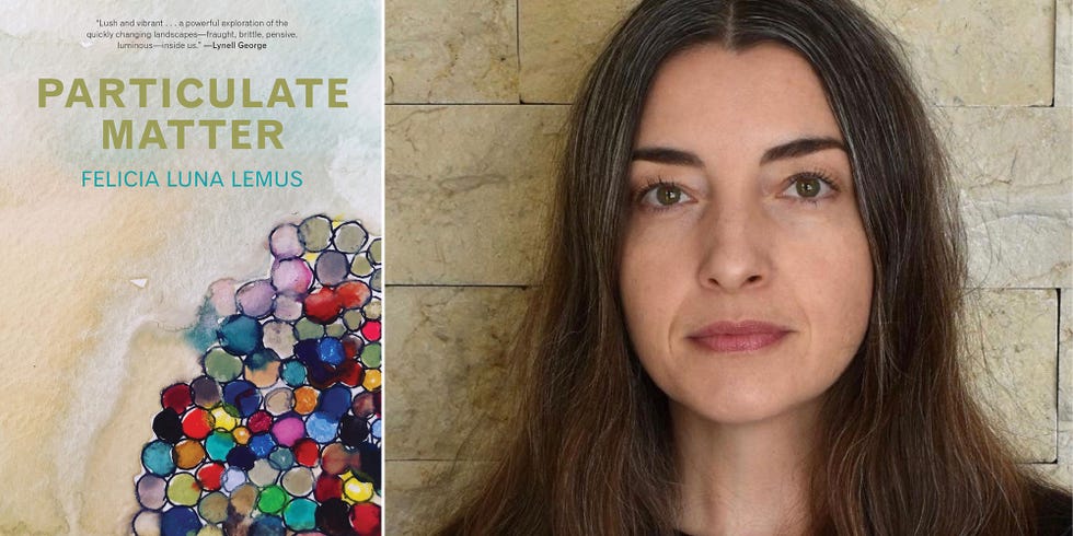 felicia luna lemus, particulate matters