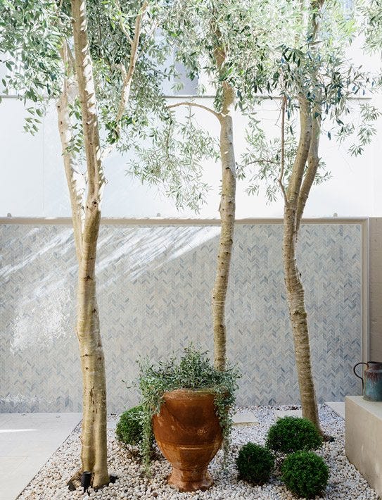 small garden ideas without grass