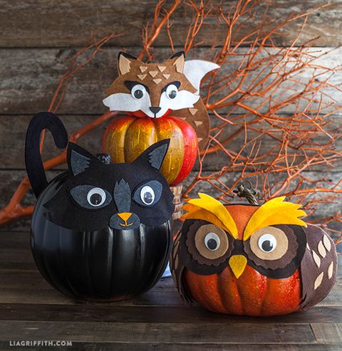 animal mask pumpkins