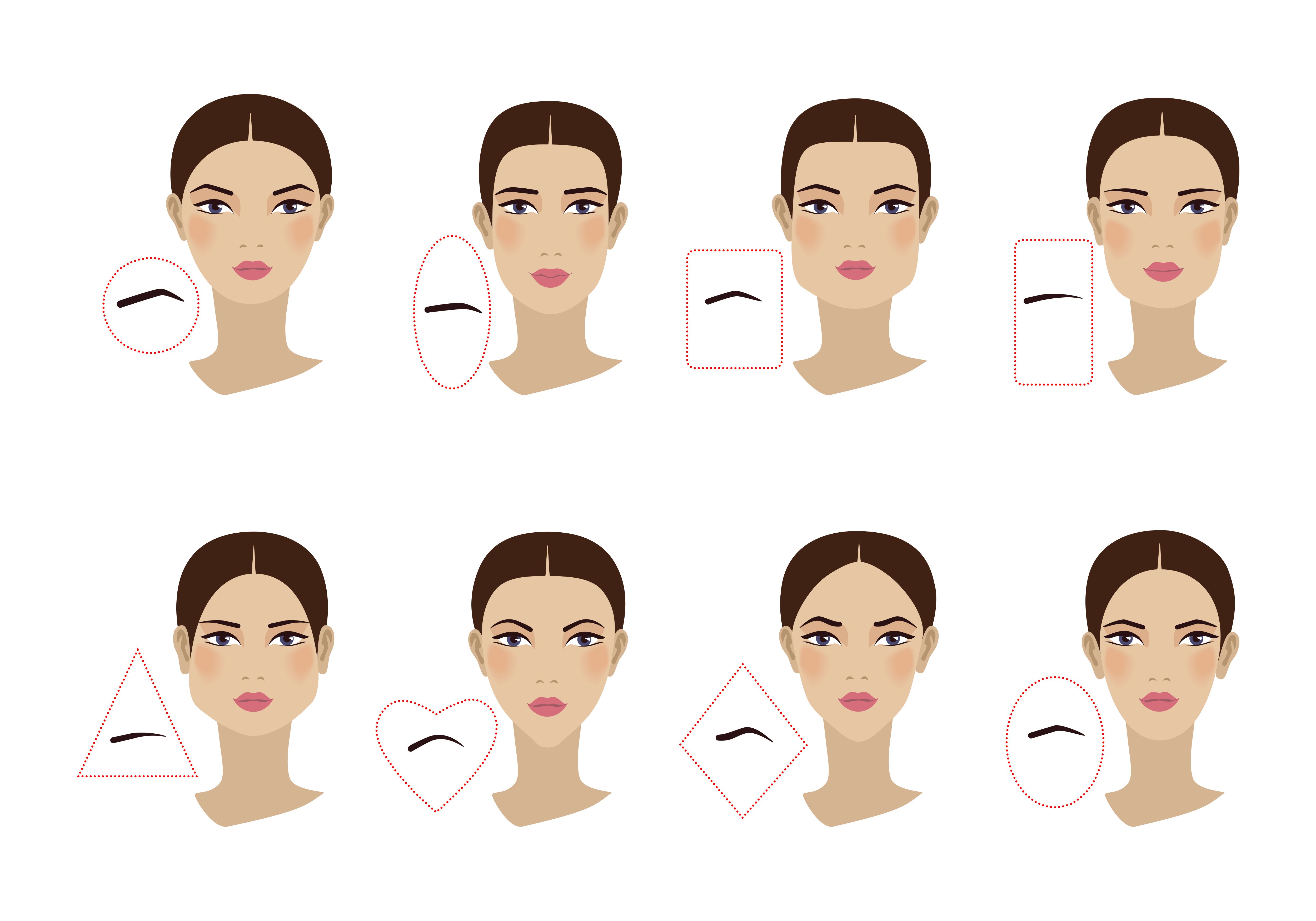 Female Eyebrow Shapes In Accordance With The Royalty Free Illustration 1585069545 