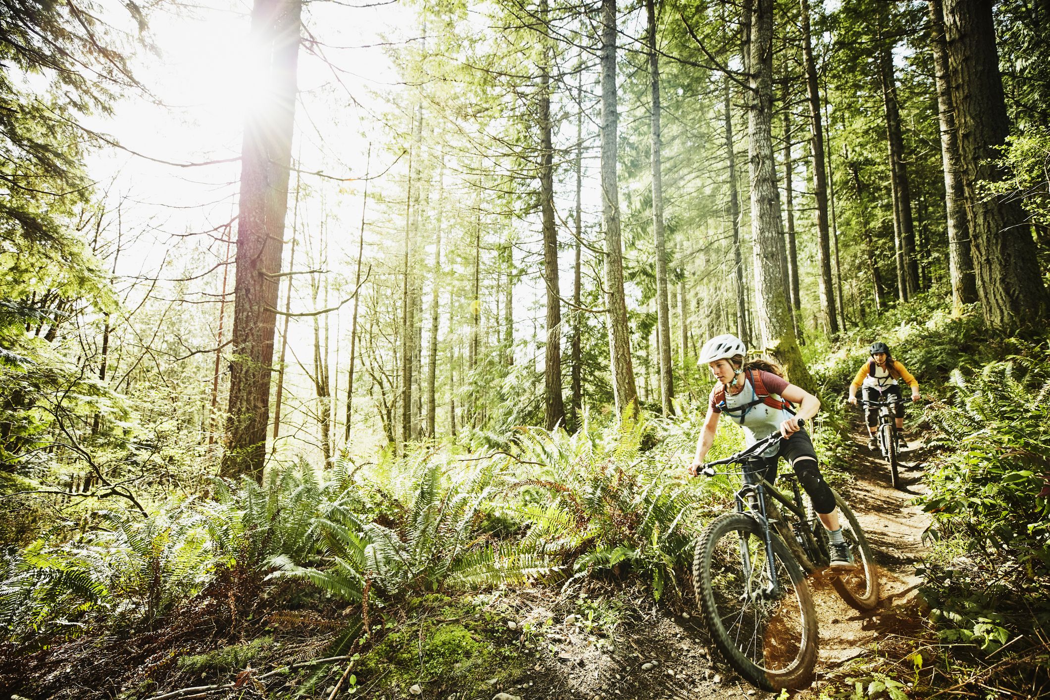 Walmart mountain on sale bike trails