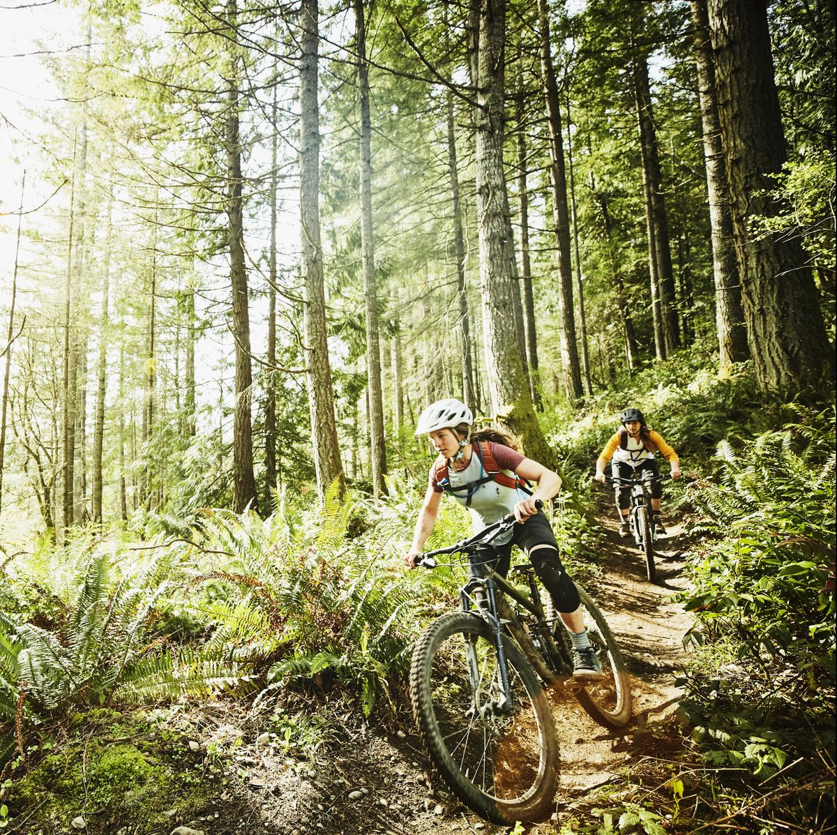 Female friends riding mountain bikes down trail in wood