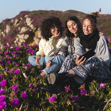 female friends sitting on carpobrotus edulis flower field