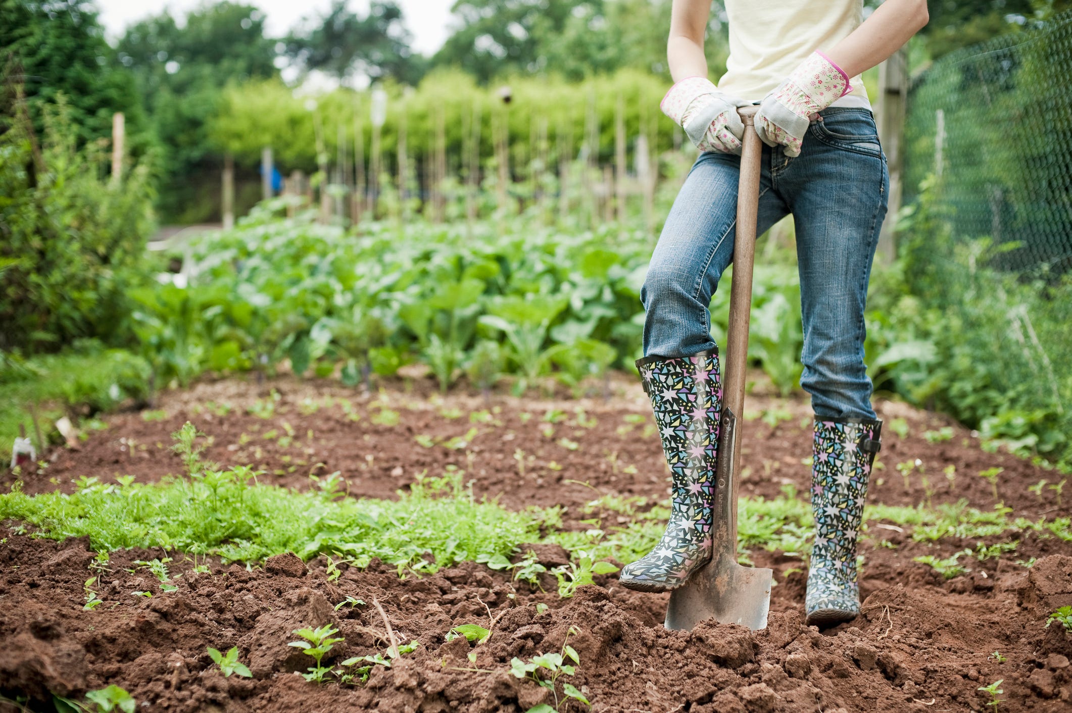 Here's How to Understand the Numbers on Fertilizer Bags