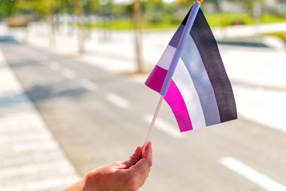 pride flag meanings hand holding an asexual pride flag