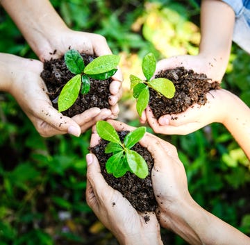 earth day quotes people holding a handful of dirt and a plant