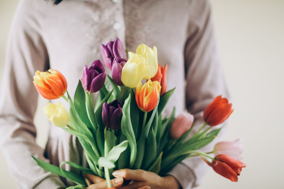 female hands hold a lot of tulips