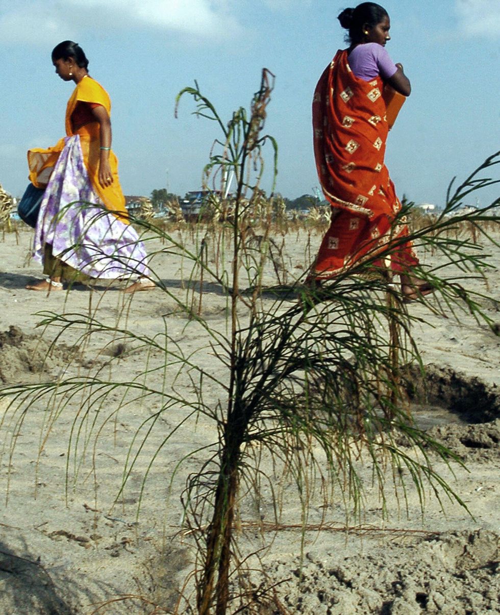 female indian labourers carry water pots