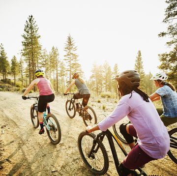 female mountain bikers riding on forest road on summer evening