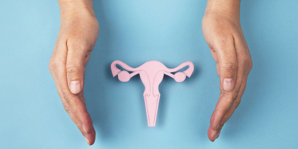 female reproductive system and hands