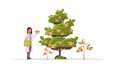 female scientist picking plant based vegetarian burgers beyond meat from tree organic natural vegan food concept horizontal full length