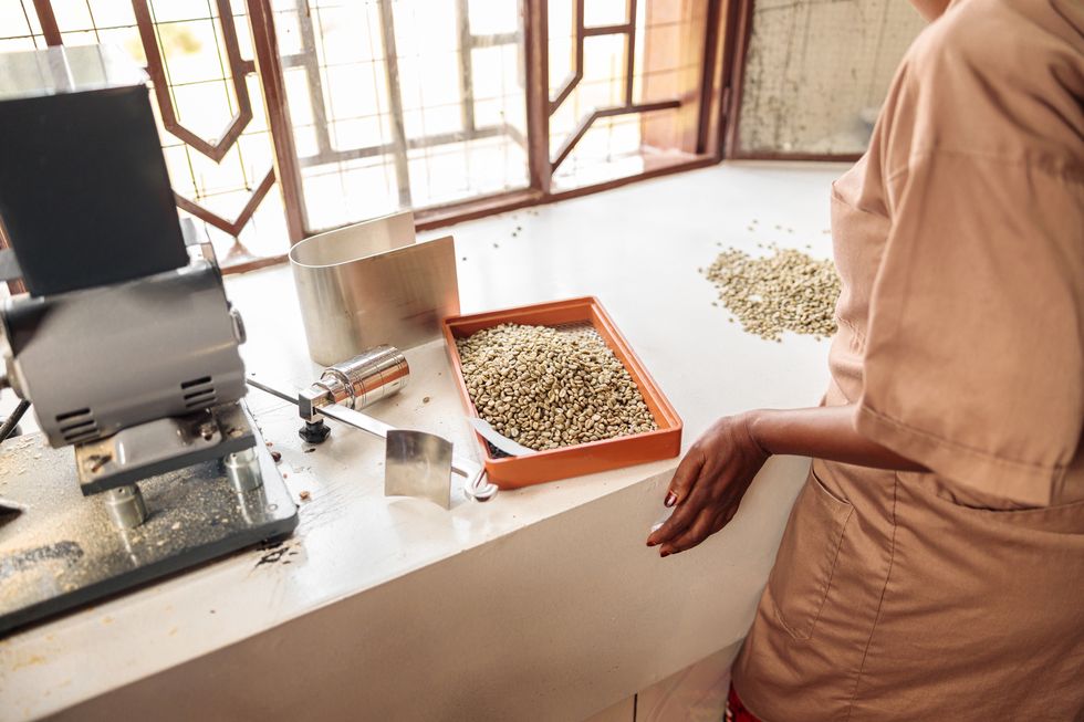 female worker standing near the table and sorting coffee beans