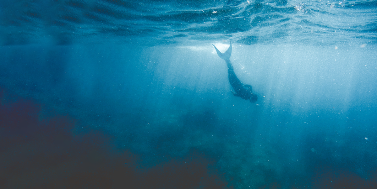 merman swimming in the ocean merman swimming in the ocean