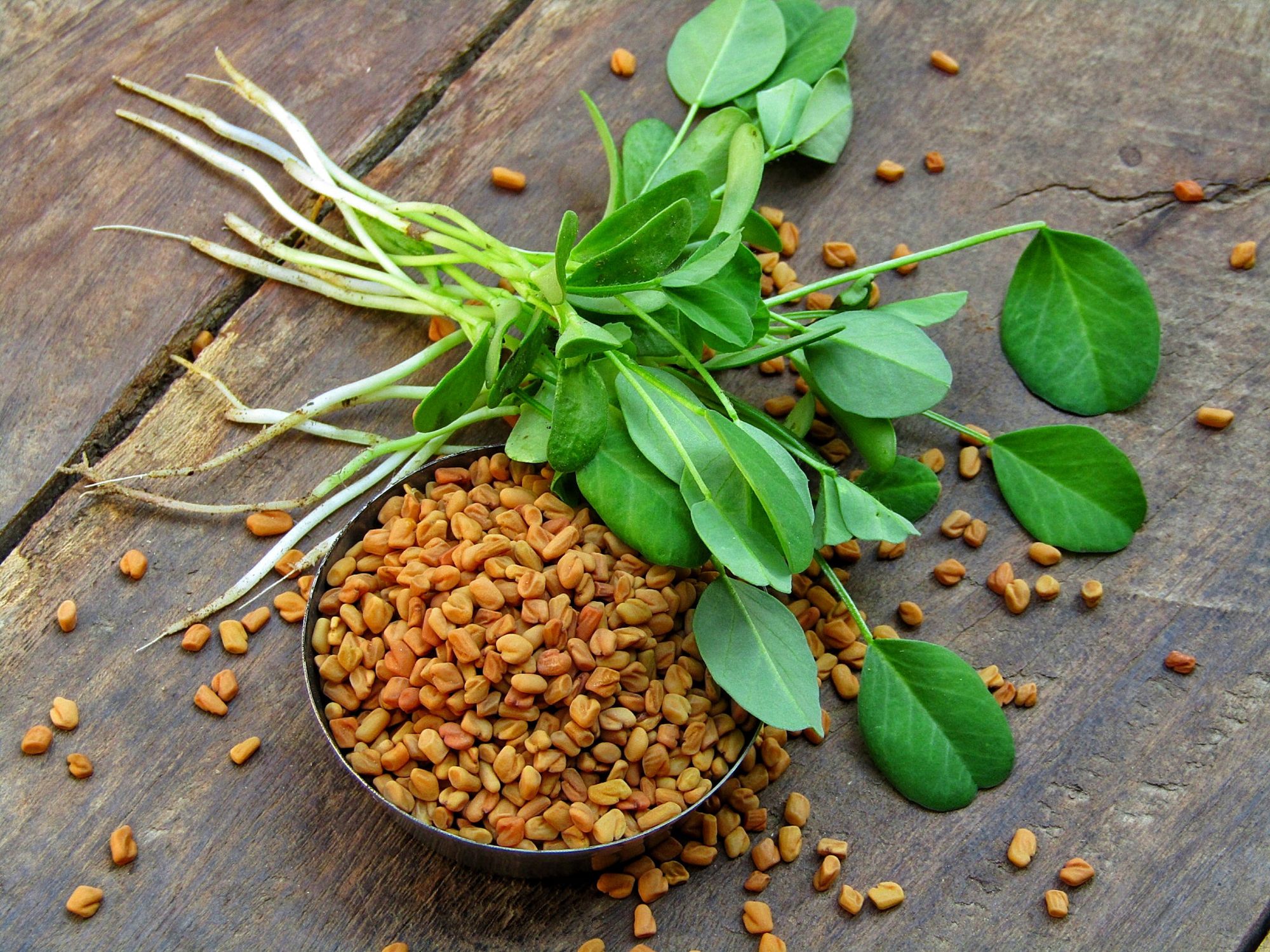 Benefits of Fenugreek Seeds For Hair | Be Beautiful India