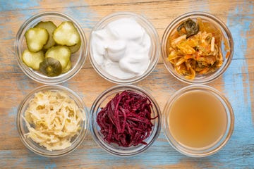 fermented food collection