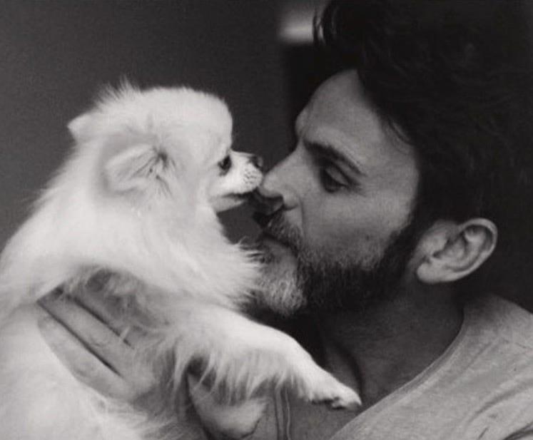 Dog, Canidae, Pomeranian, Dog breed, Companion dog, Puppy love, Nose, Interaction, Puppy, Volpino italiano, 