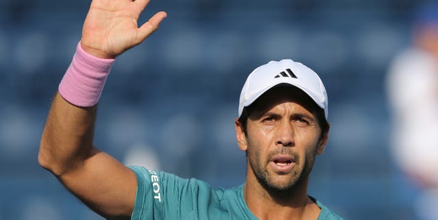 Fernando Verdasco Fernando Verdasco, Copa Davis, Verdasco, Sergi Bruguera