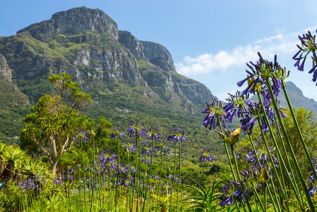Botanical gardens - the most instagrammed in the world