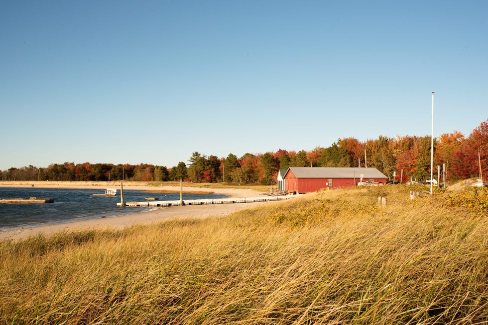 11 Best Beaches in Maine - Maine Beaches to Visit 2024