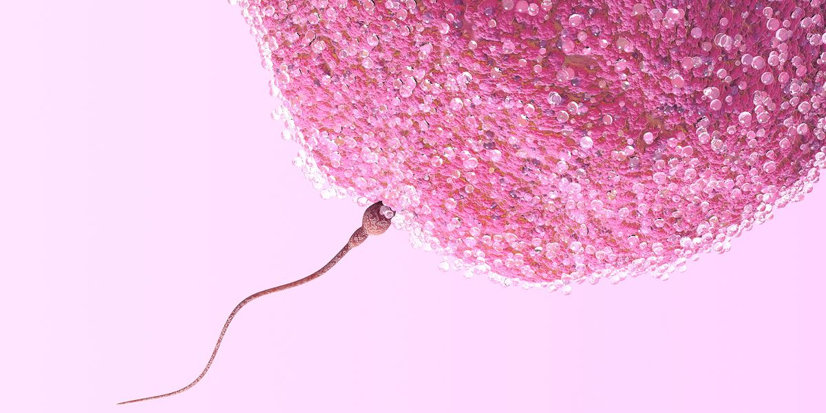 9 surprising things you never knew about your fertility