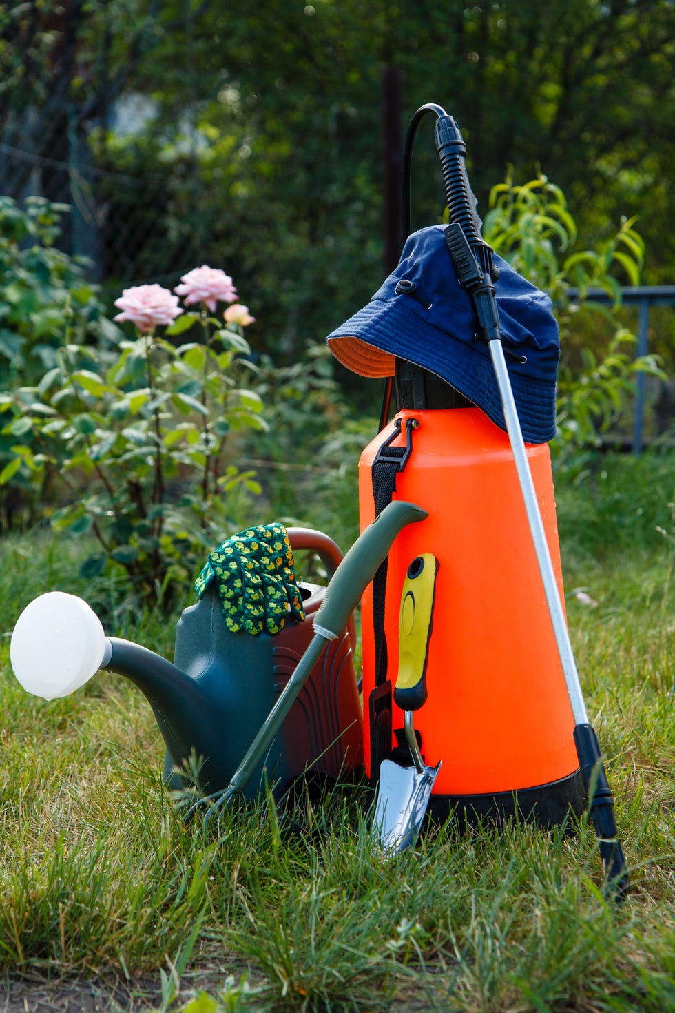 How to Rewild Your Garden Using Pesticides