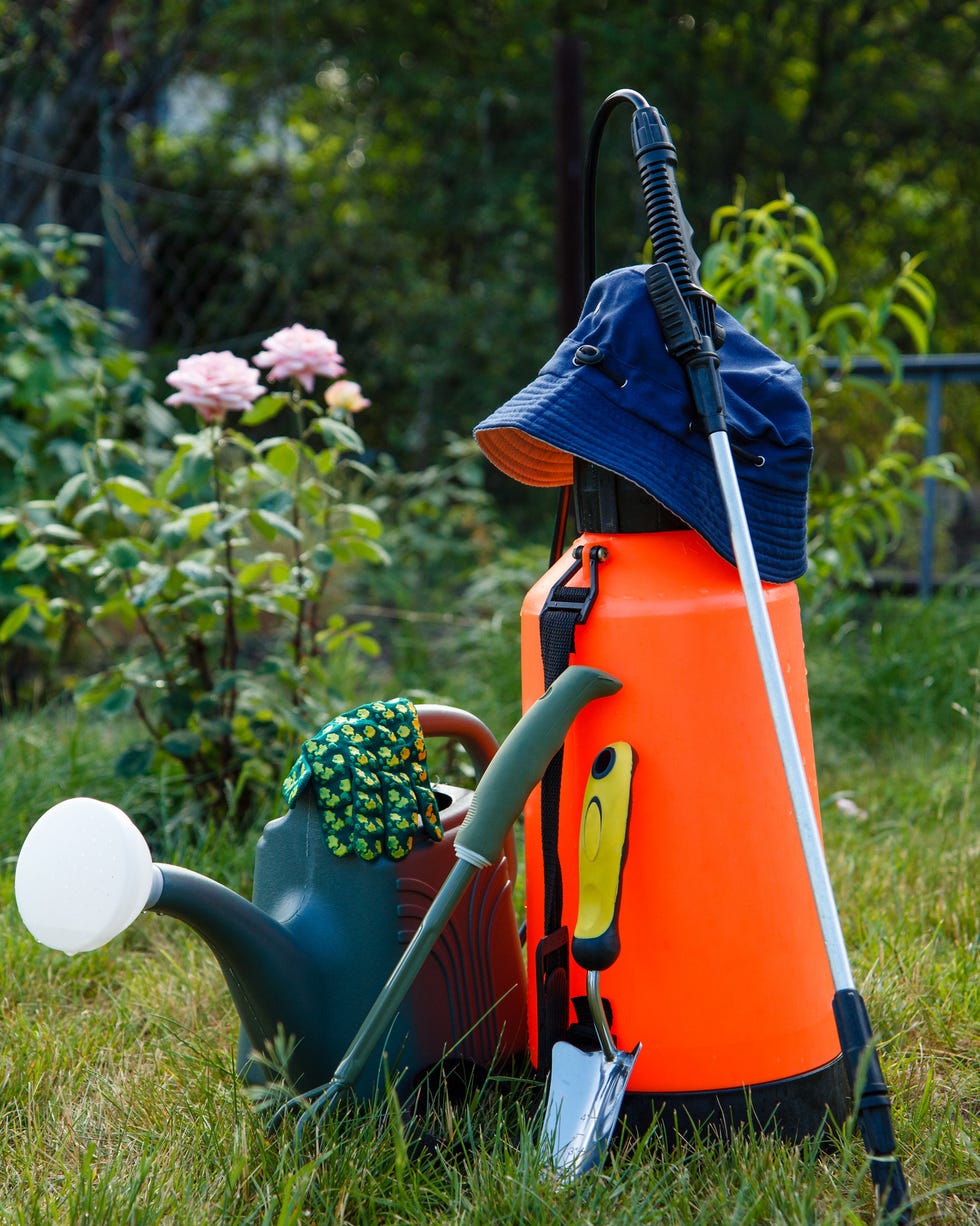 How to Rewild Your Garden Using Pesticides How to Rewild Your Garden Using Pesticides