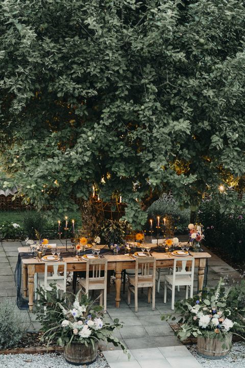 Festive laid table with candles under a tree