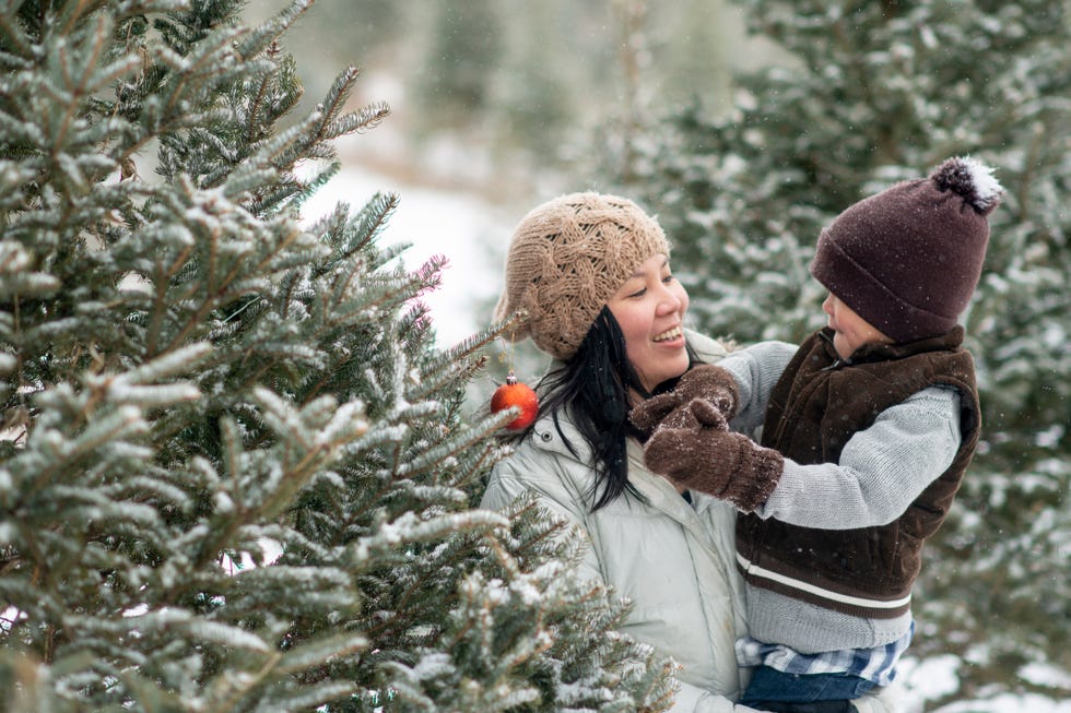 Minnesota Bob’s Christmas Tree Farm