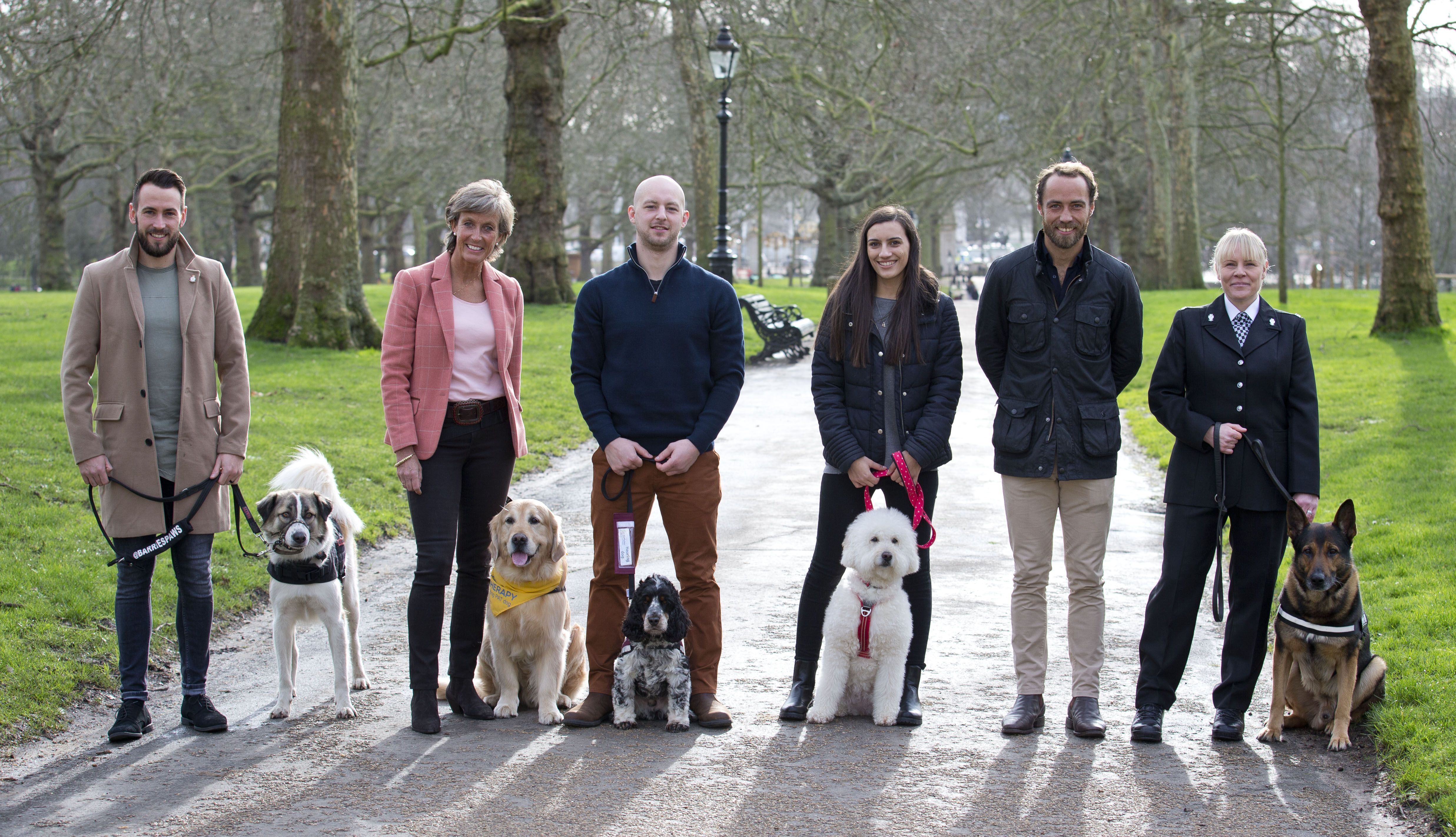 Crufts Friends For Life Award 2020 5 Heroic Dogs And Their Stories