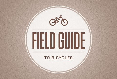 Field Guide to Bicycles