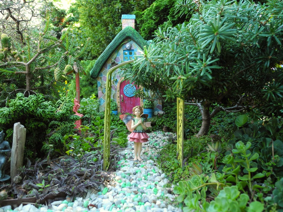 fairy garden