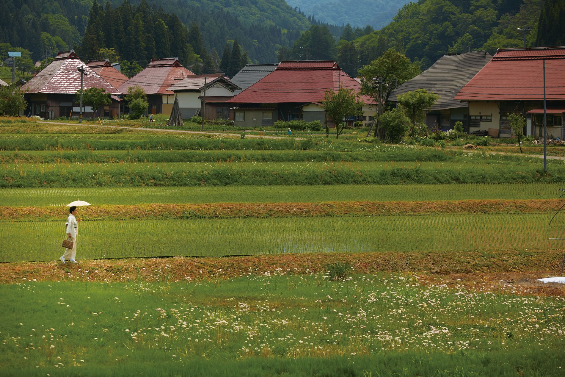 奥会津・昭和村のからむし織。糸の産地で花開く織物［真野響子が巡る