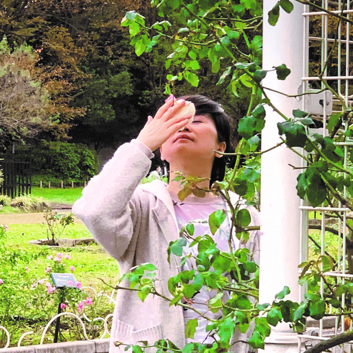 養生日記｜北京中医薬大学医学博士・尹生花さんのホリスティックな毎日