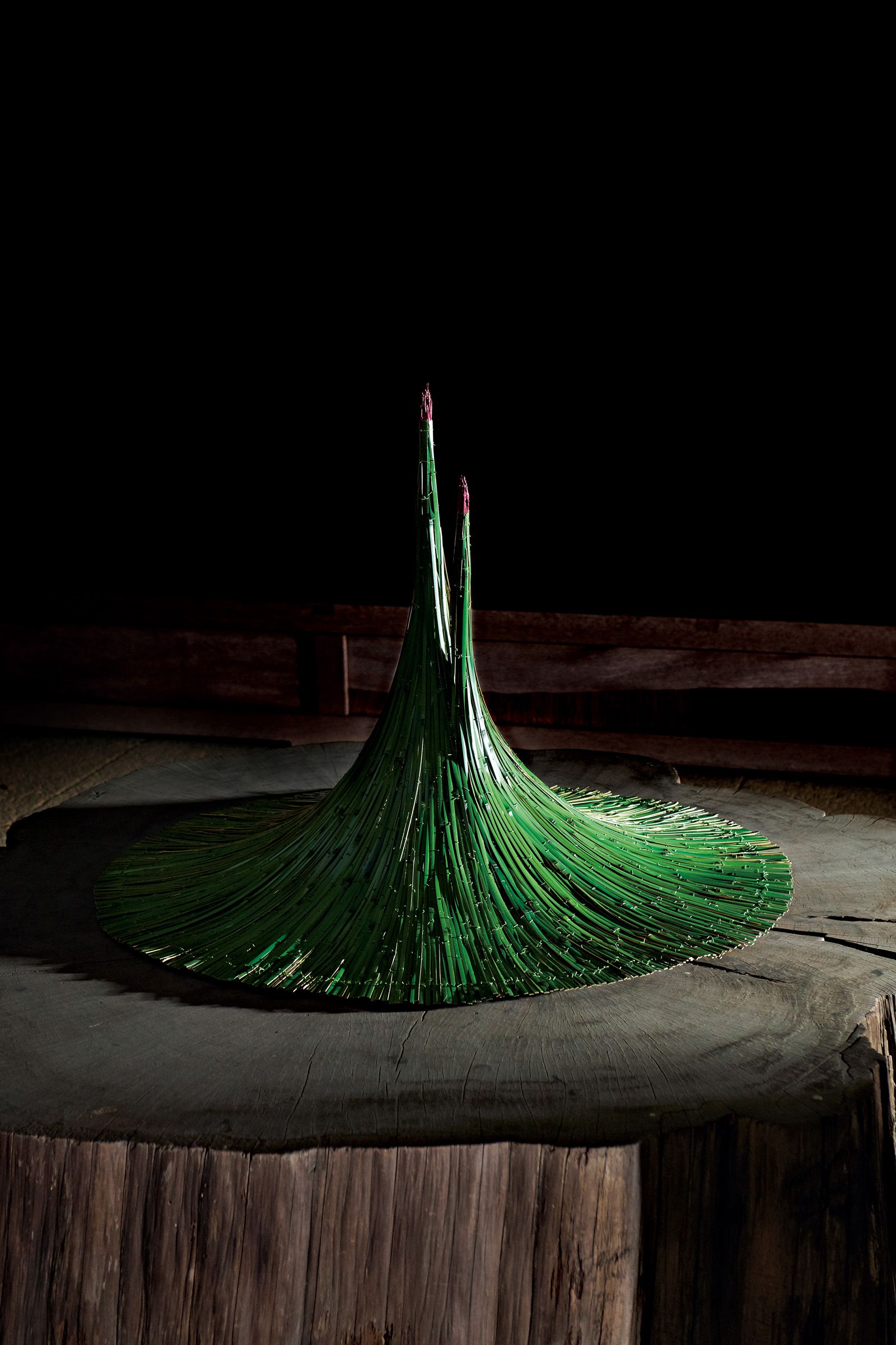 ★ ダニエル・オスト 「 LEAFING THROUGH FLOWERS 」★ ダニエル オスト in JAPAN Floral Art of Twenty-fice Years