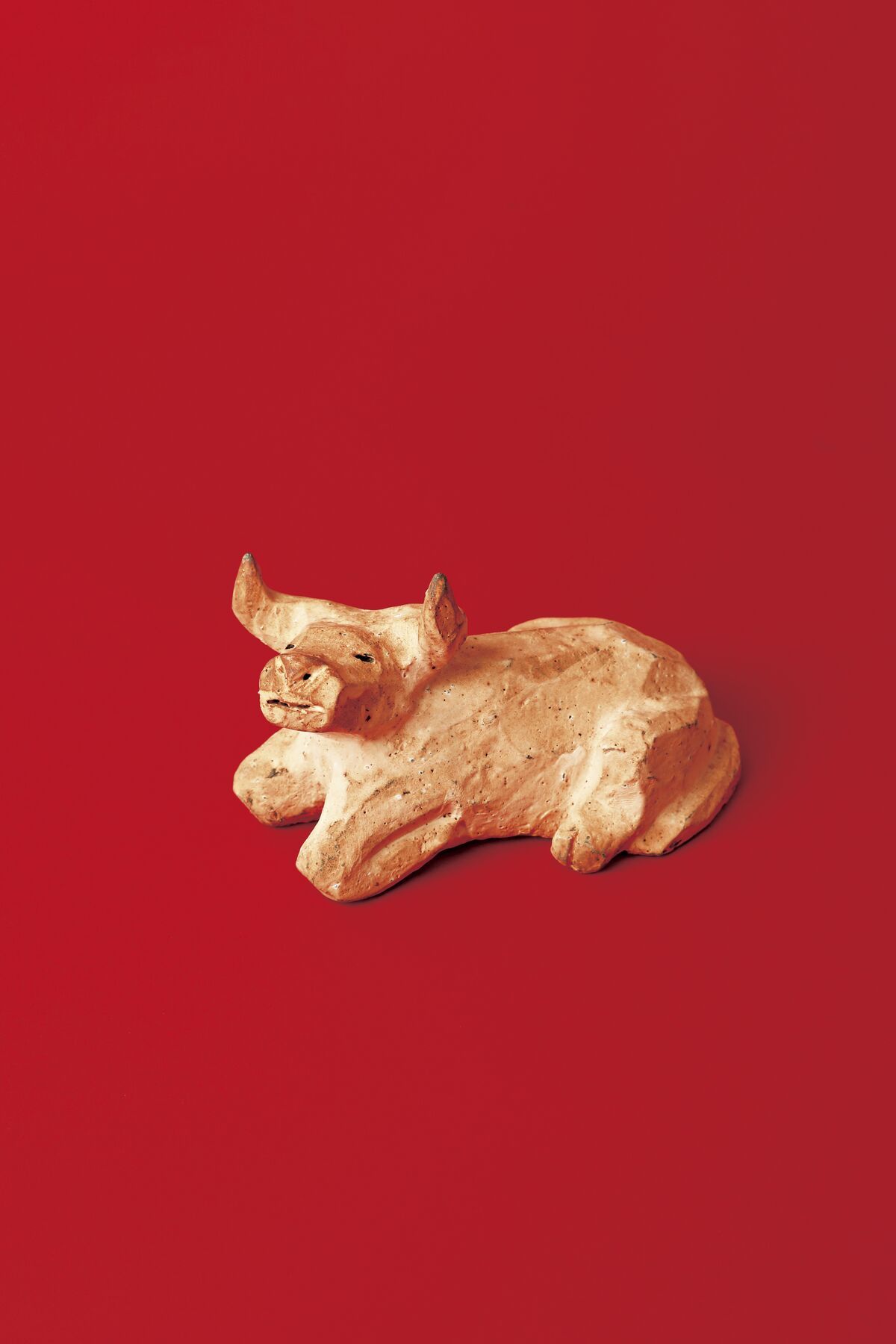 来年の干支「兎」 : SUGAR & BUTTER