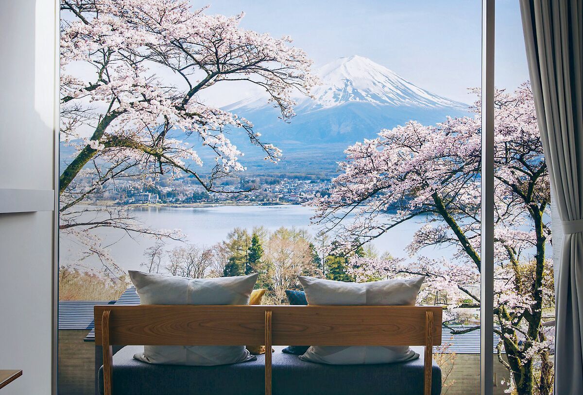 河口湖の富士と満開の桜 河口湖畔の桜｜花見特集2025