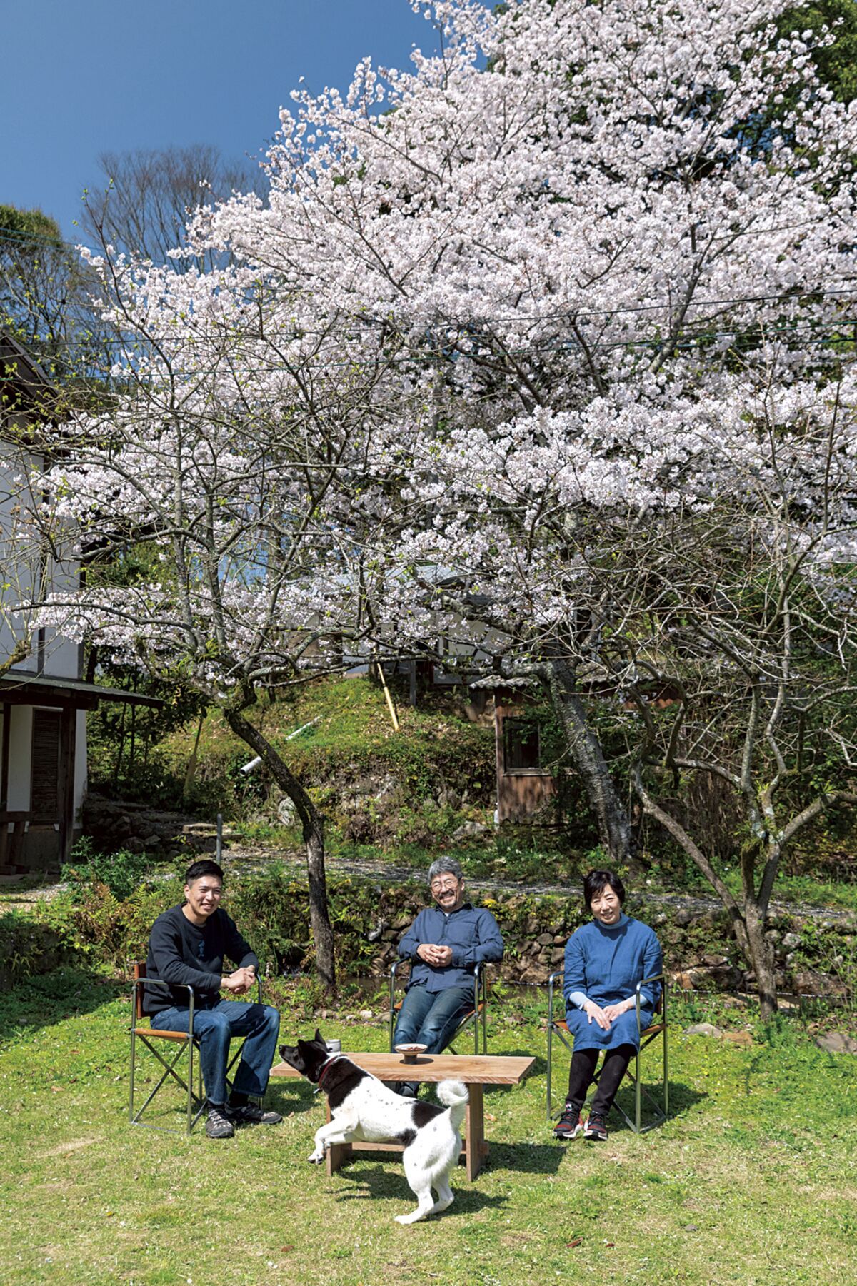 花の名所｜婦人画報 公式サイト