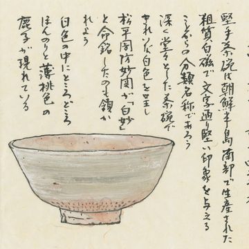 堅手茶碗　銘白妙　朝鮮王朝時代 17世紀　野村美術館蔵