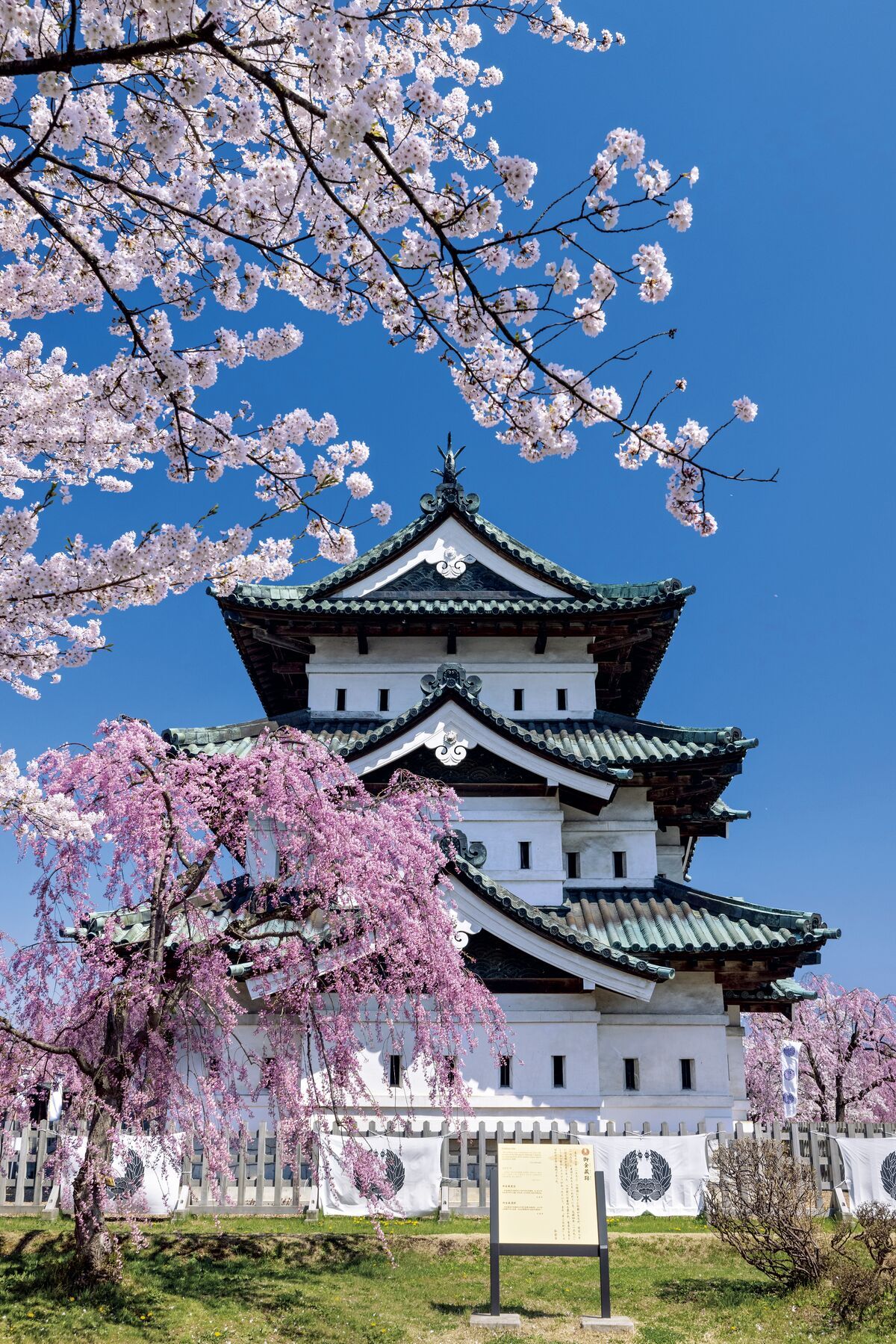 見渡すかぎりの桜絶景！一生に一度は観ておきたい「三大桜名所」