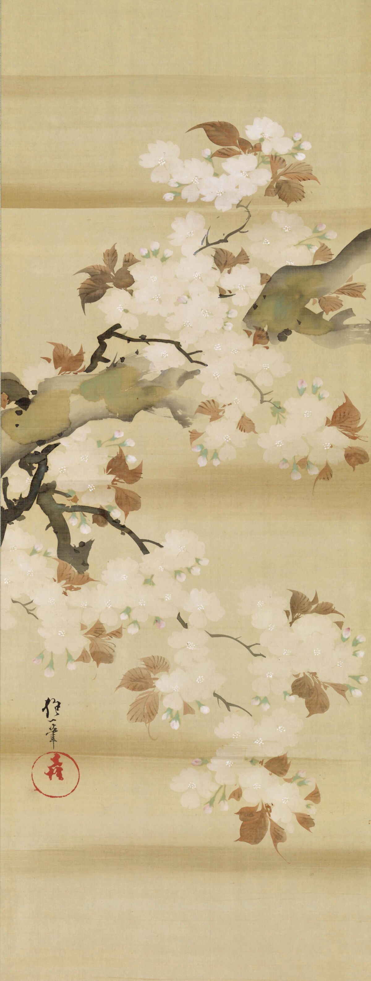 高評価レビュー 真作】掛軸 桜之図 （アート花見】時空を超えた美の O72 逸品 絵画