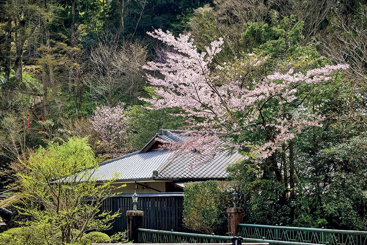 東府や Resort & Spa-Izu［静岡・吉奈温泉］｜伊豆最古の湯
