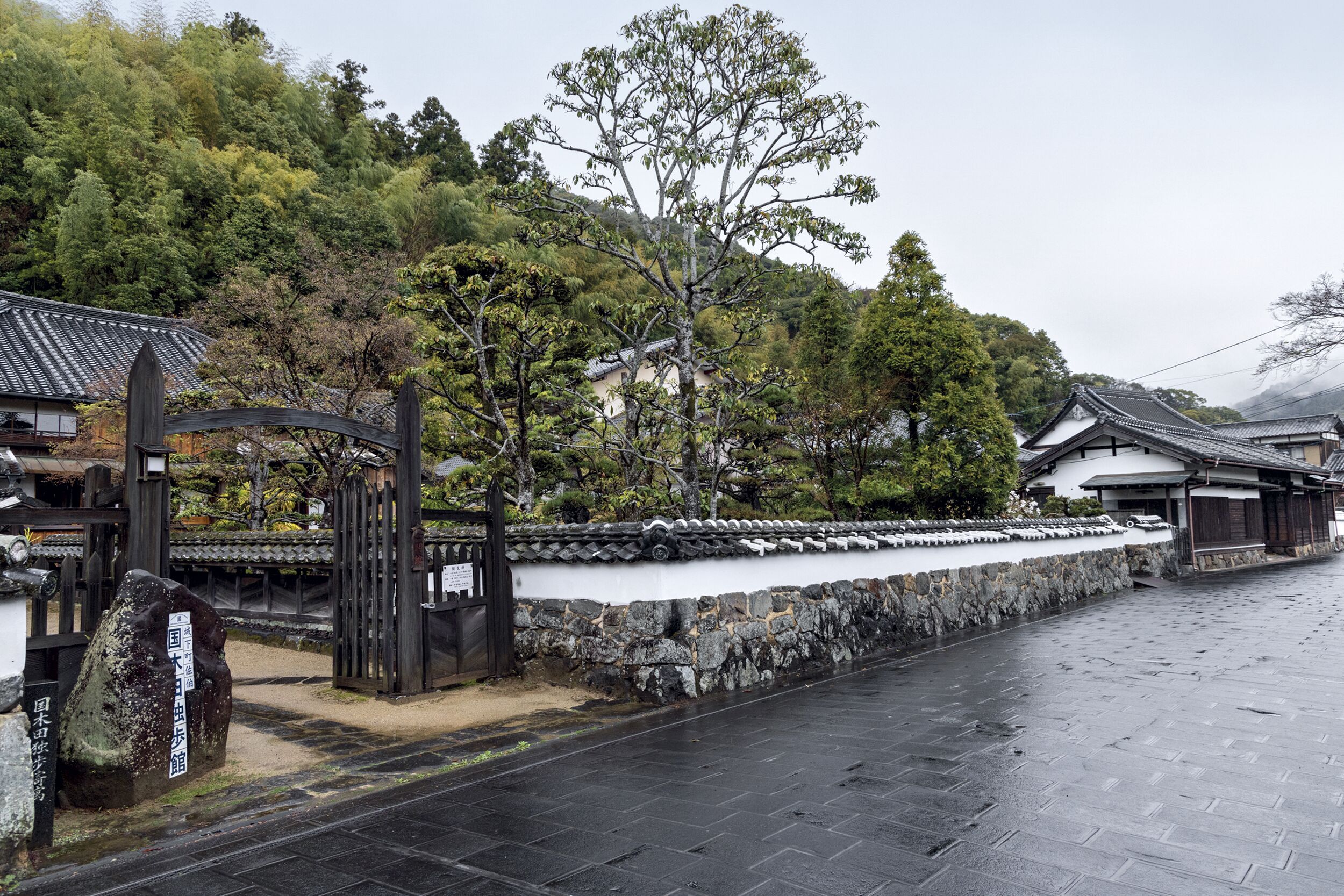 Amazon.co.jp: 国木田独歩 短編小説の魅力 : 中島 礼子: 本
