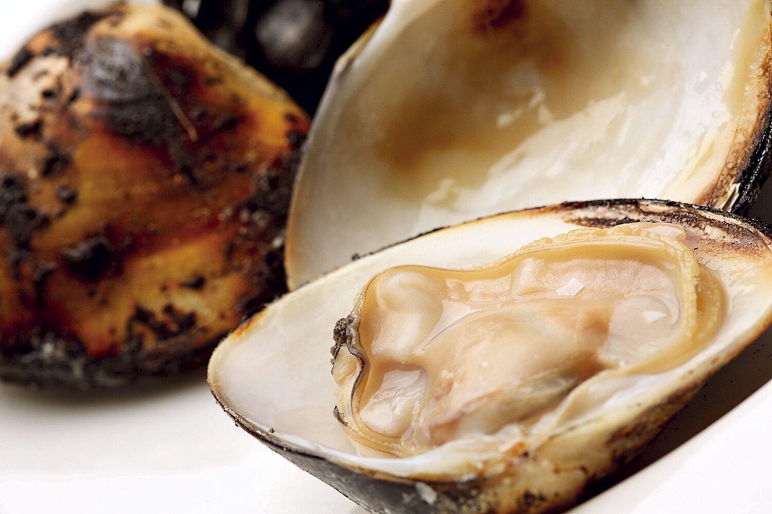 魚介料理事典 全6巻セット フレンチ イタリアン 中華 和食 料理 214_mono-bis1.jpg