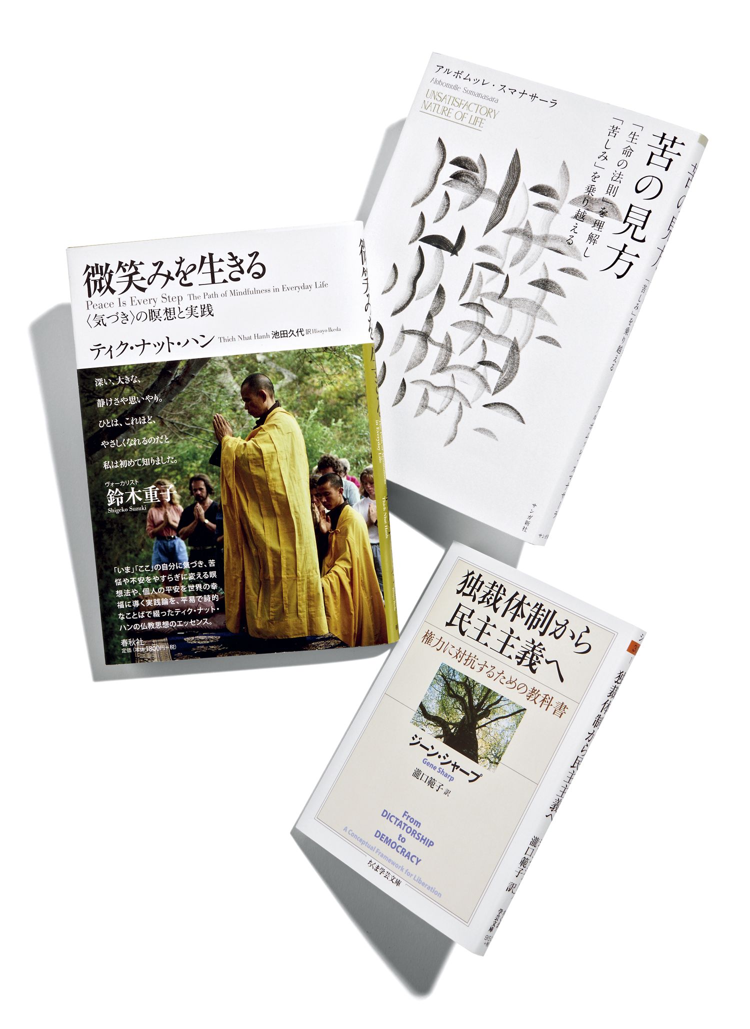 想田和弘さんのおすすめ本「何度でも読み返す﻿平和的に生きる