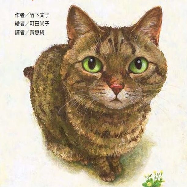 吸不到貓就看書吧！海狗房東推薦的13本貓奴必看「貓咪繪本書單」，寫給每個需要被療癒的妳！