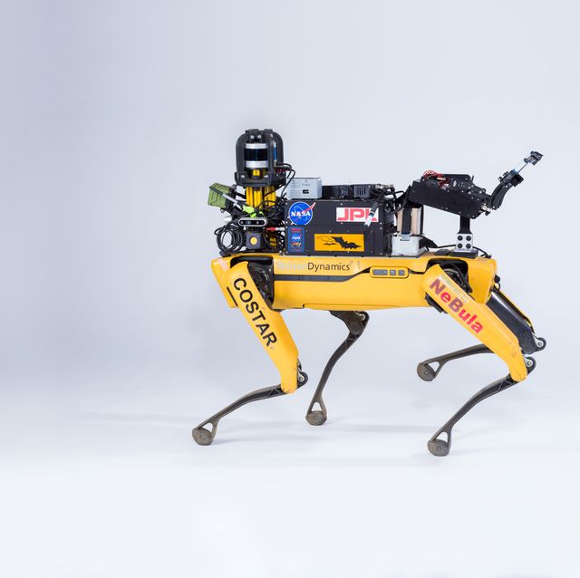 a yellow and black quadruped robot